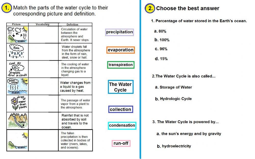 The Water Cycle -Part 2
