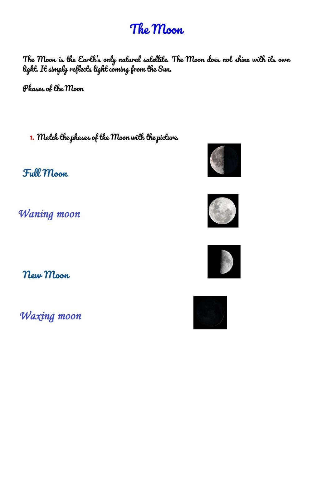 Phases of the Moon