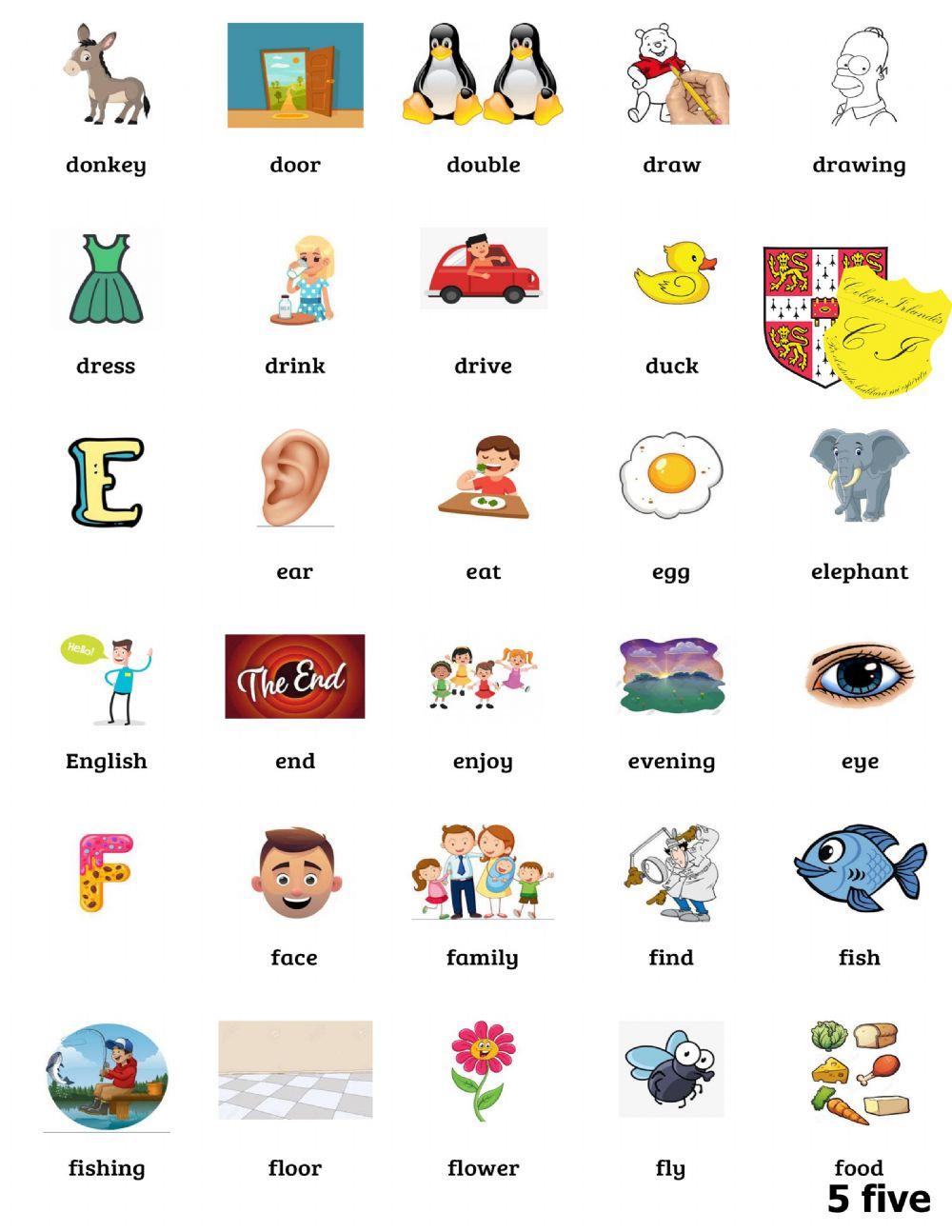 Starters Vocabulary 5