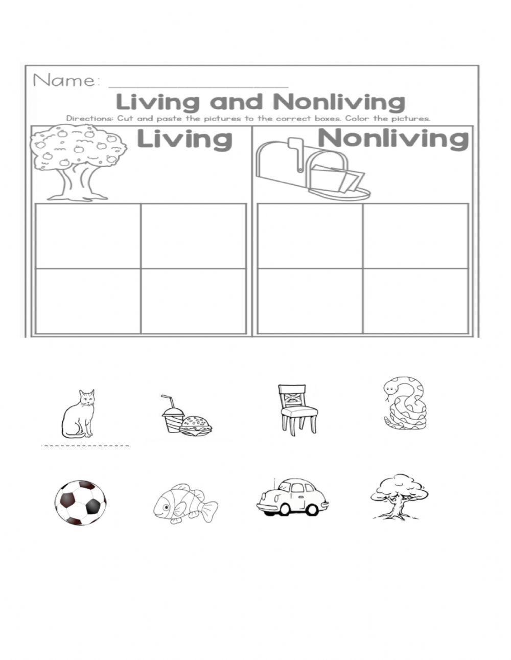 Living - Nonliving drag and drop