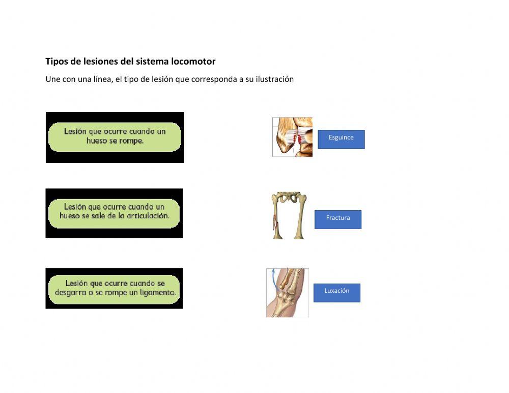 Lesiones en el sistema locomotor