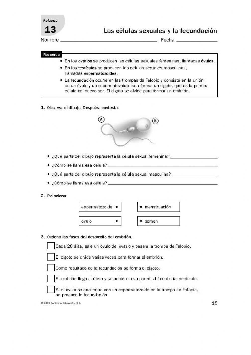 Sistema reproductor femenino y masculino