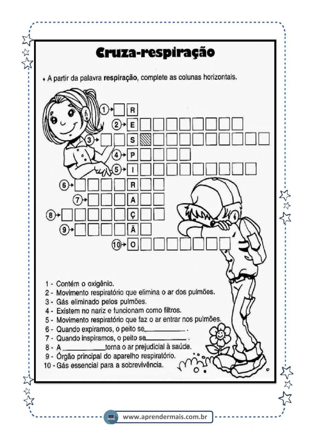 Sistema respiratorio
