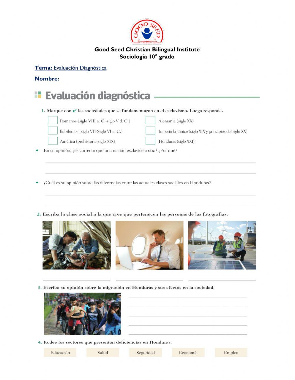 Sociedad y colectividades