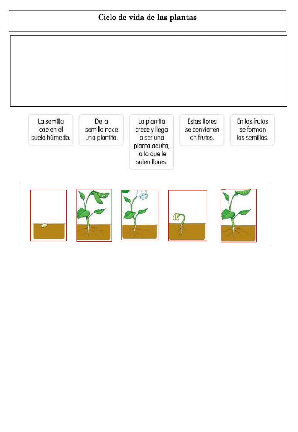 Guía de laboratorio interactiva
