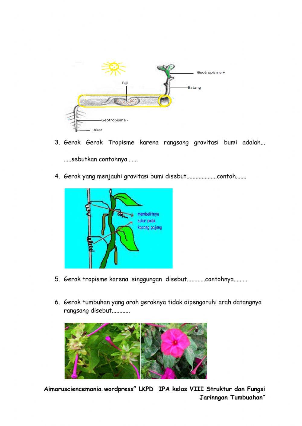 LATIHAN live whorksheet