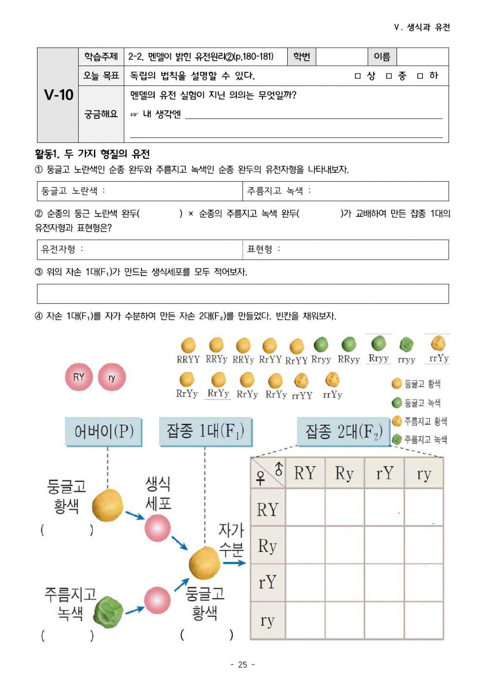 5-10:멘델의 유전 원리(독립의 법칙)