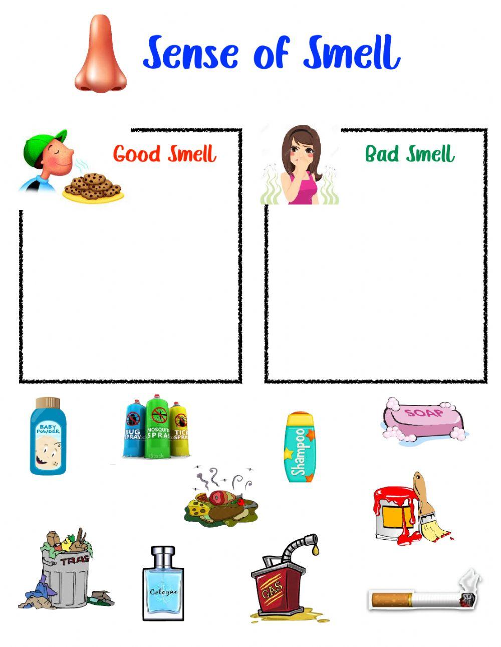 Sense of smell online exercise for Live Worksheets