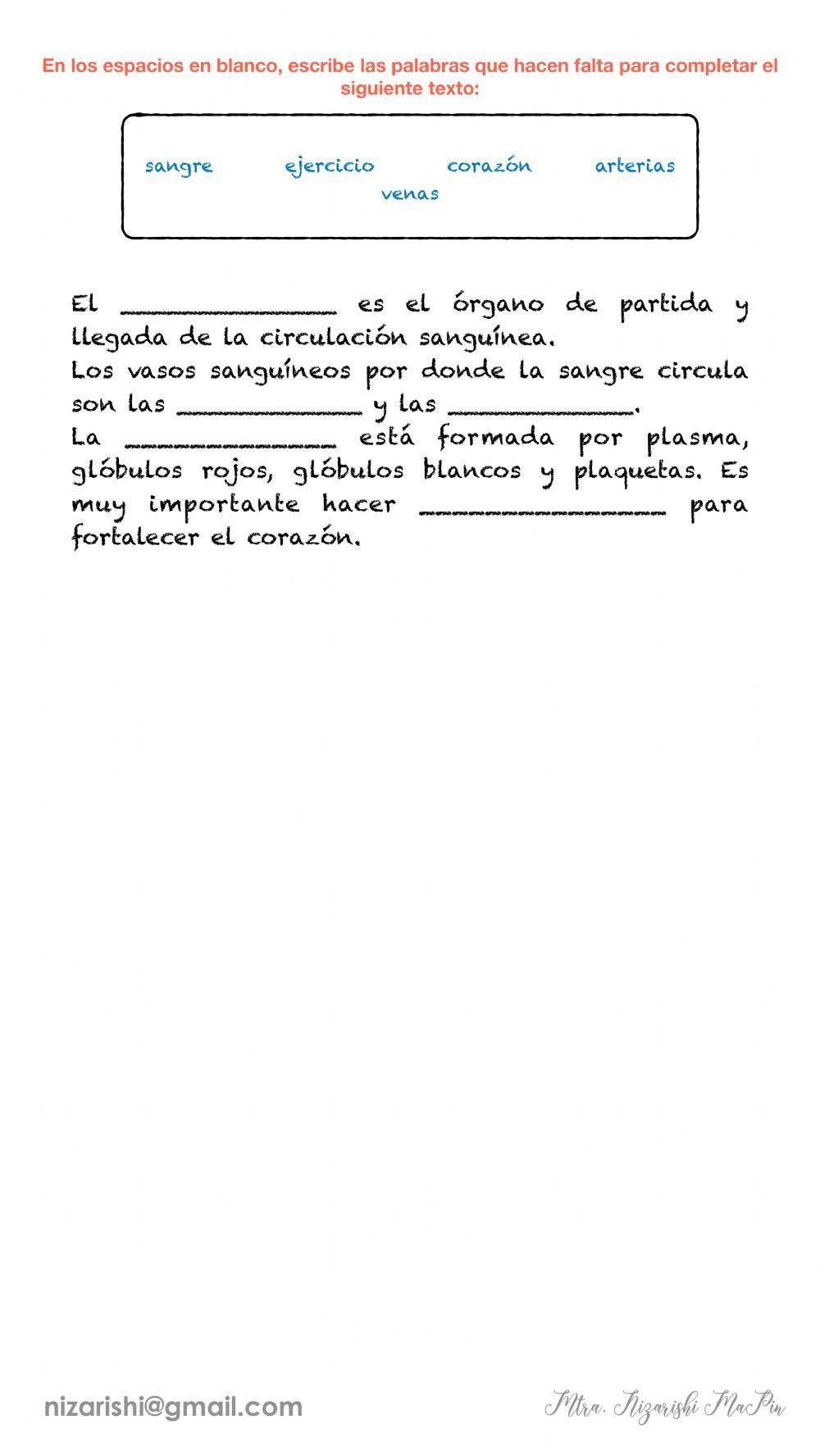 El Sistema Circulatorio