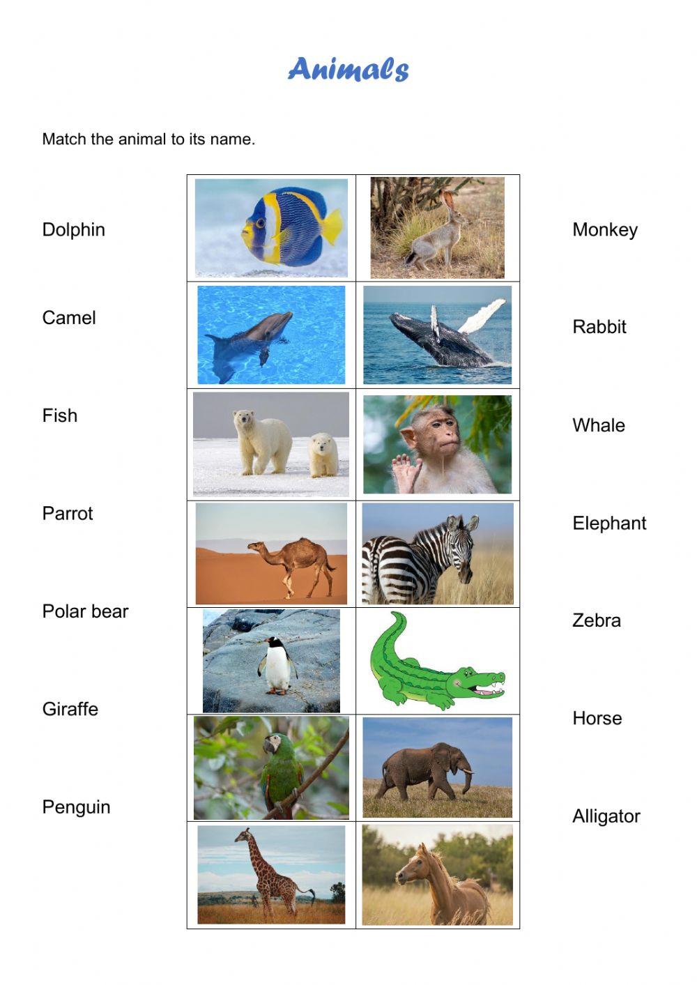 Animals and natural habitats