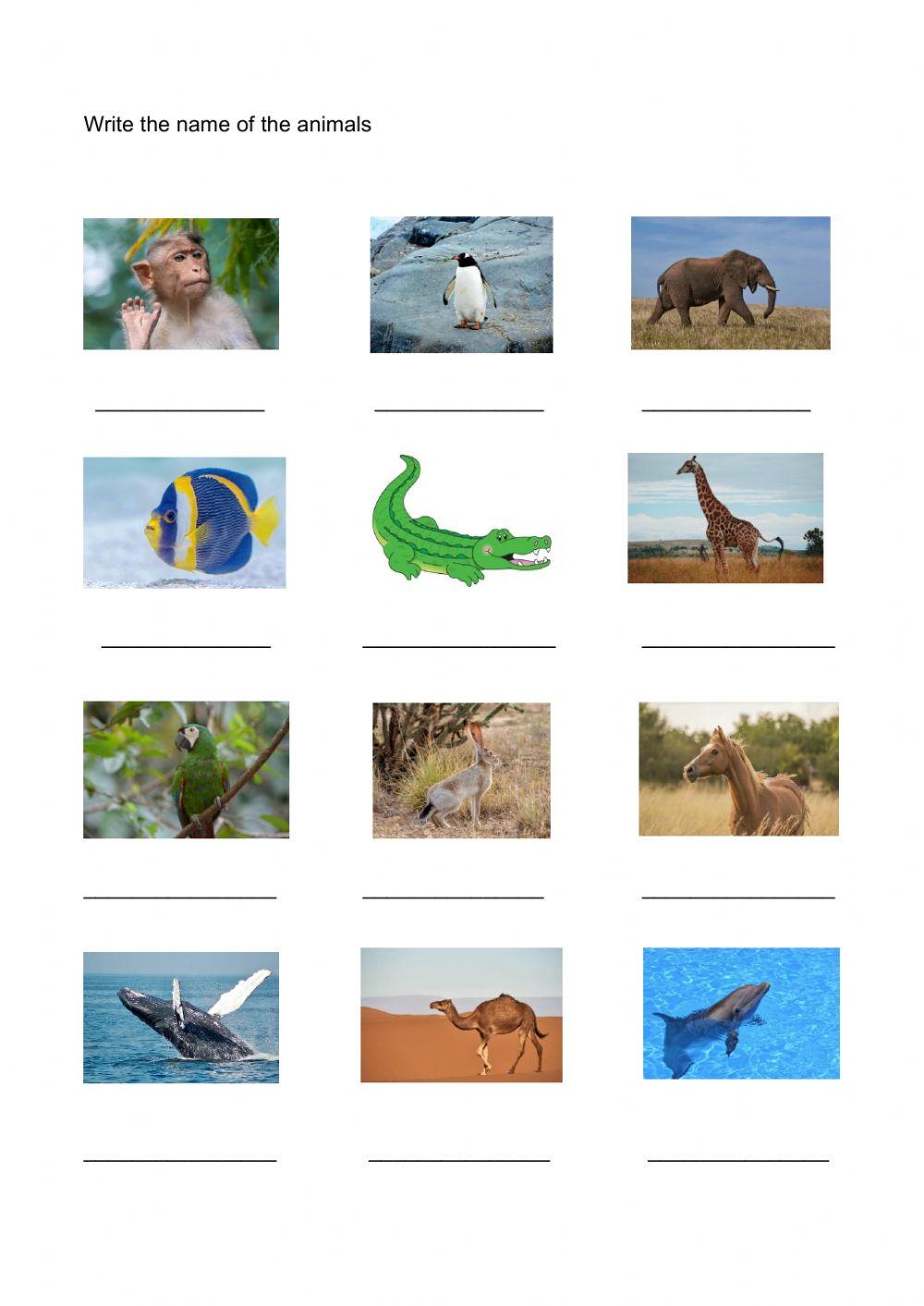 Animals and natural habitats