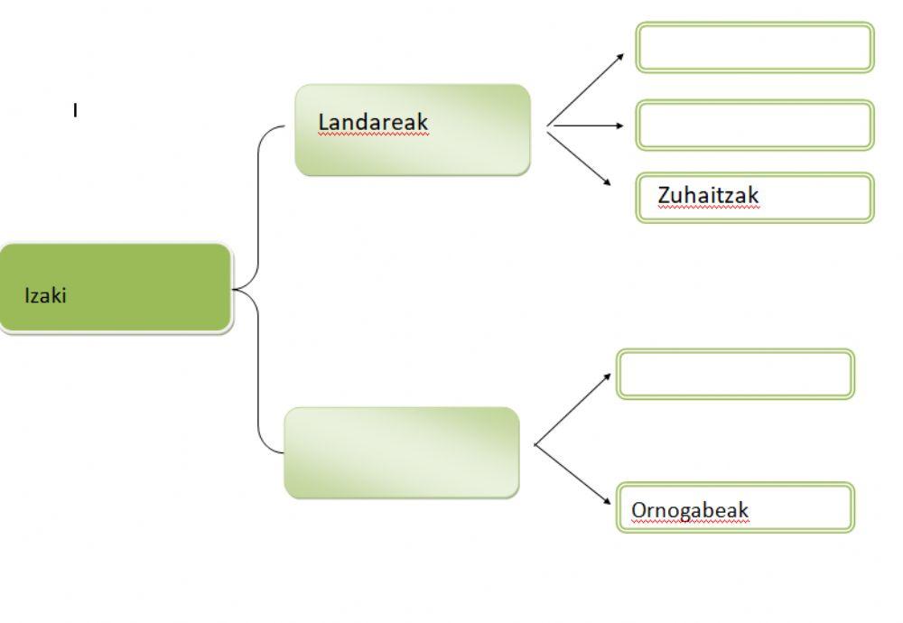 Izaki bizidunen eskema