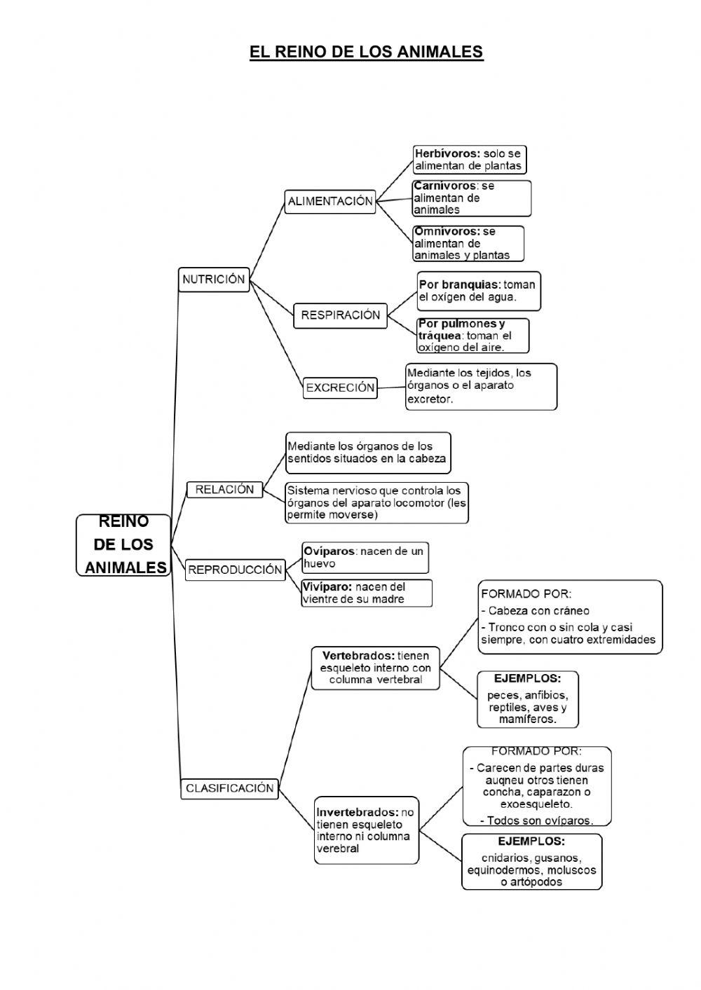 El reino de los animales