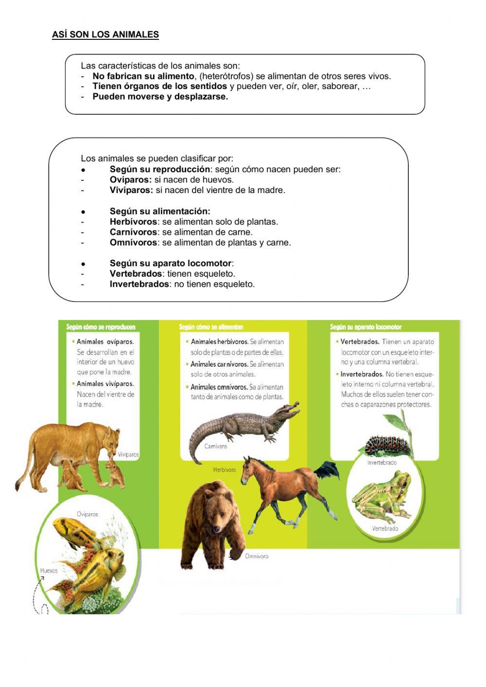 El reino de los animales