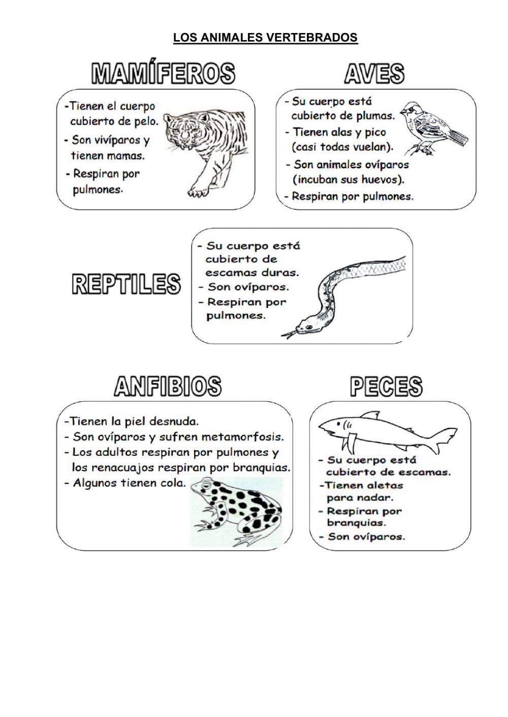 El reino de los animales