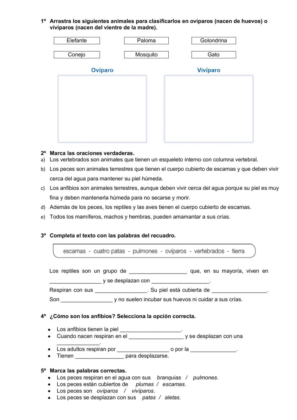 El reino de los animales