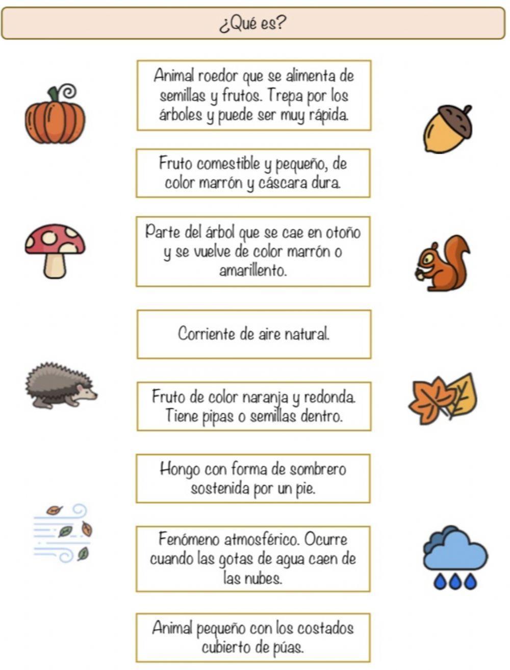 Relaciona la descripción con el elemento correspondiente