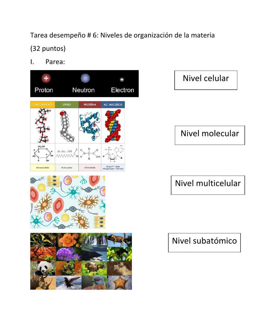 Niveles organización de la materia