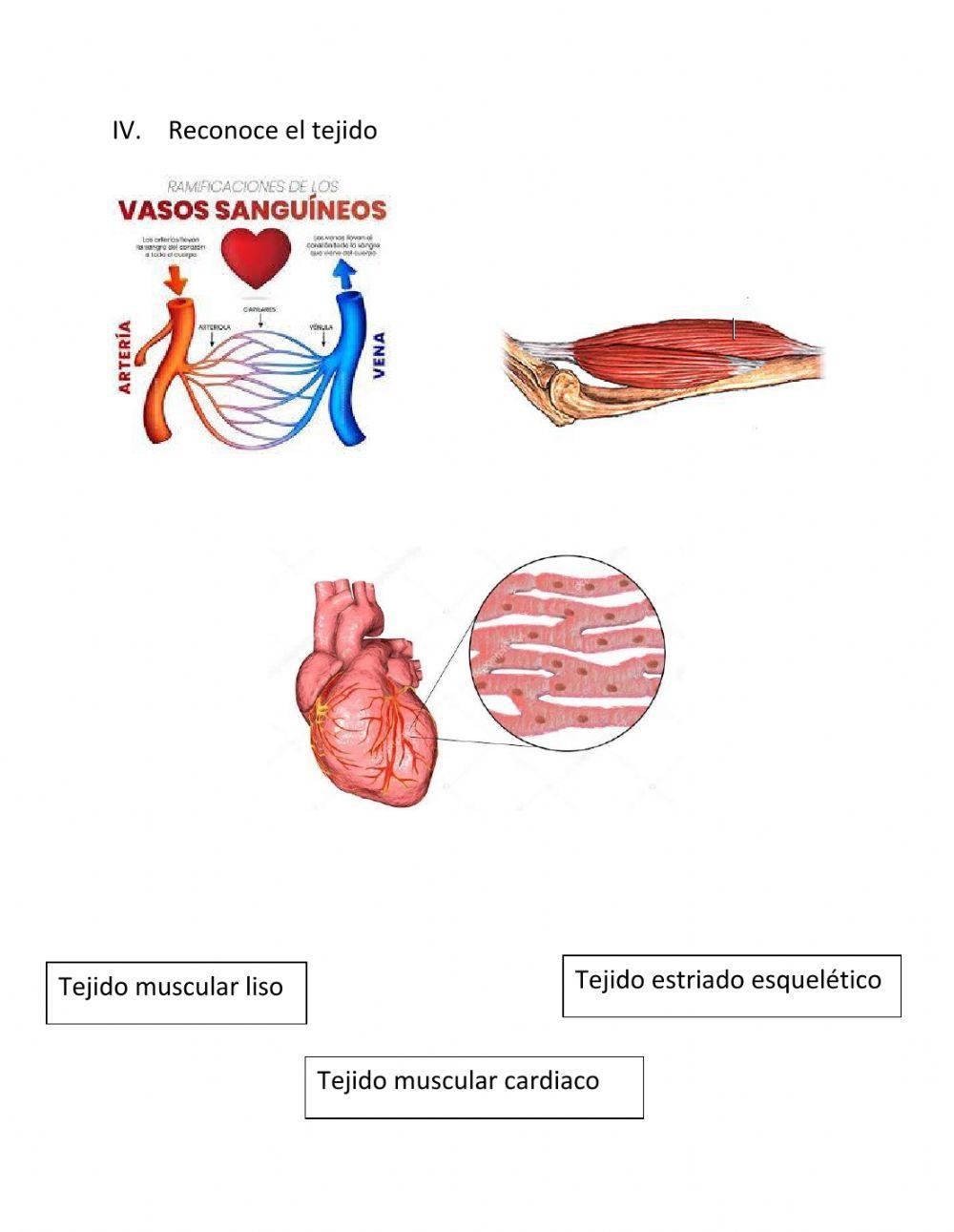 Niveles organización de la materia