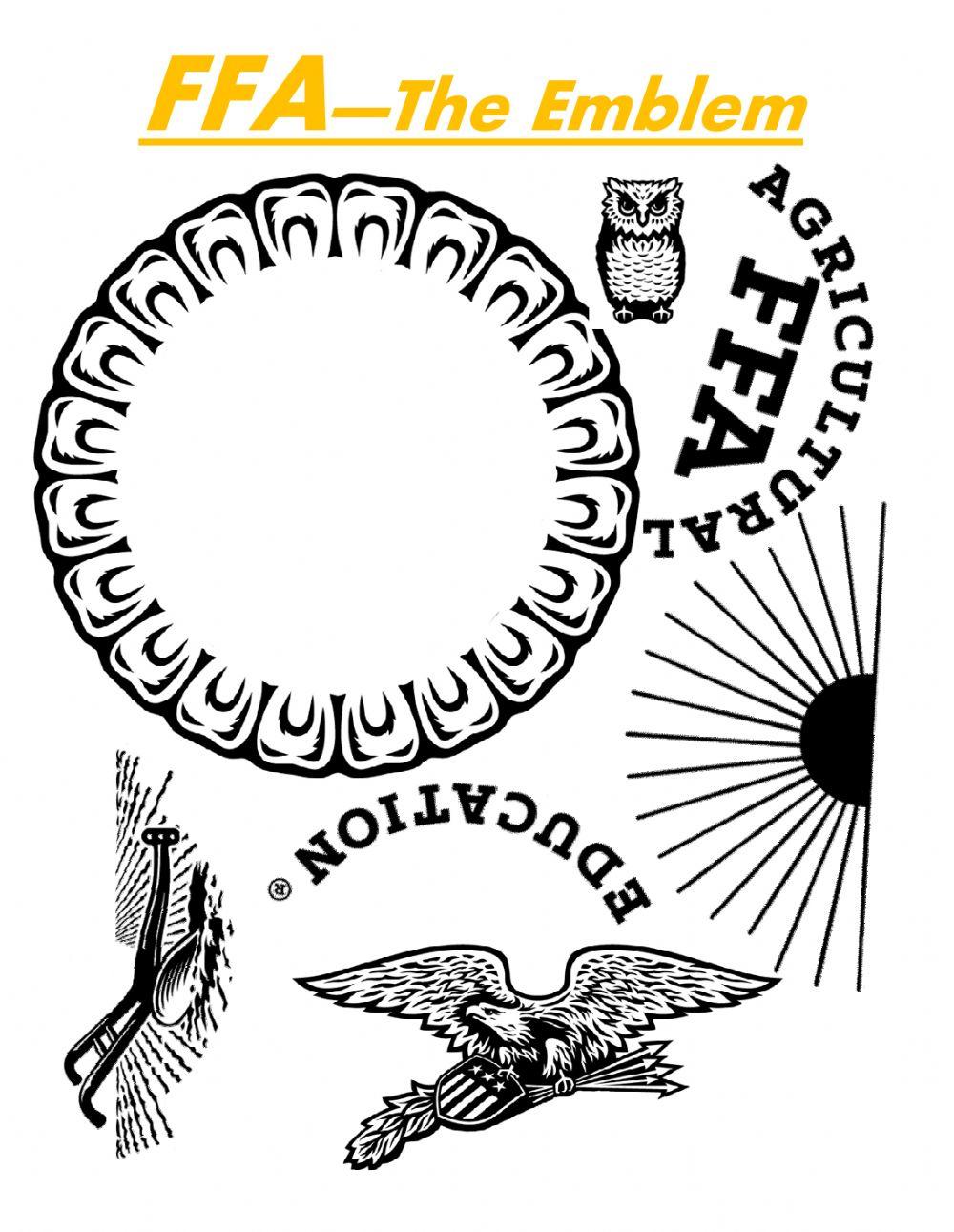 6132791 FFA Worksheet nuwert LiveWorksheets