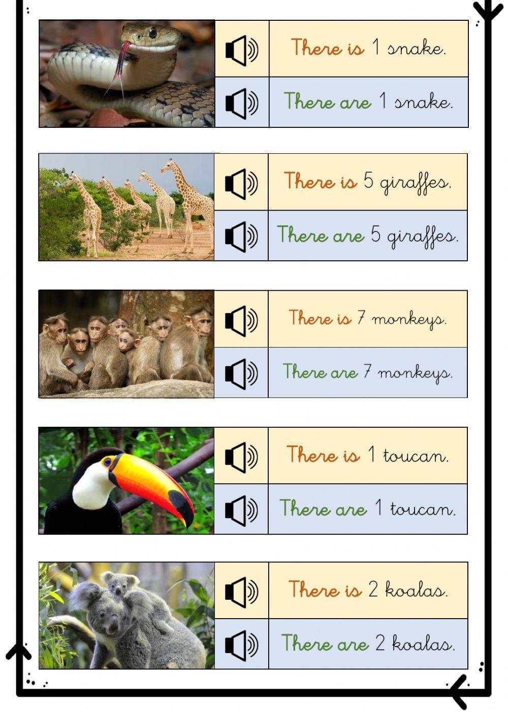 There is there are JUNGLE ANIMALS