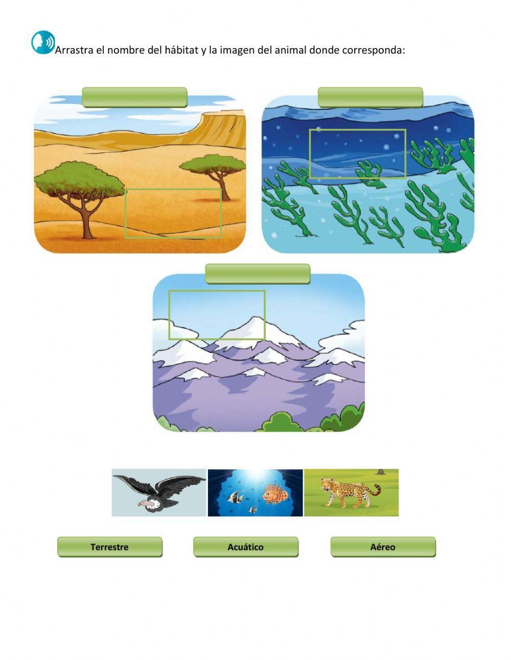 Evaluación Unidad 3 Lección 1