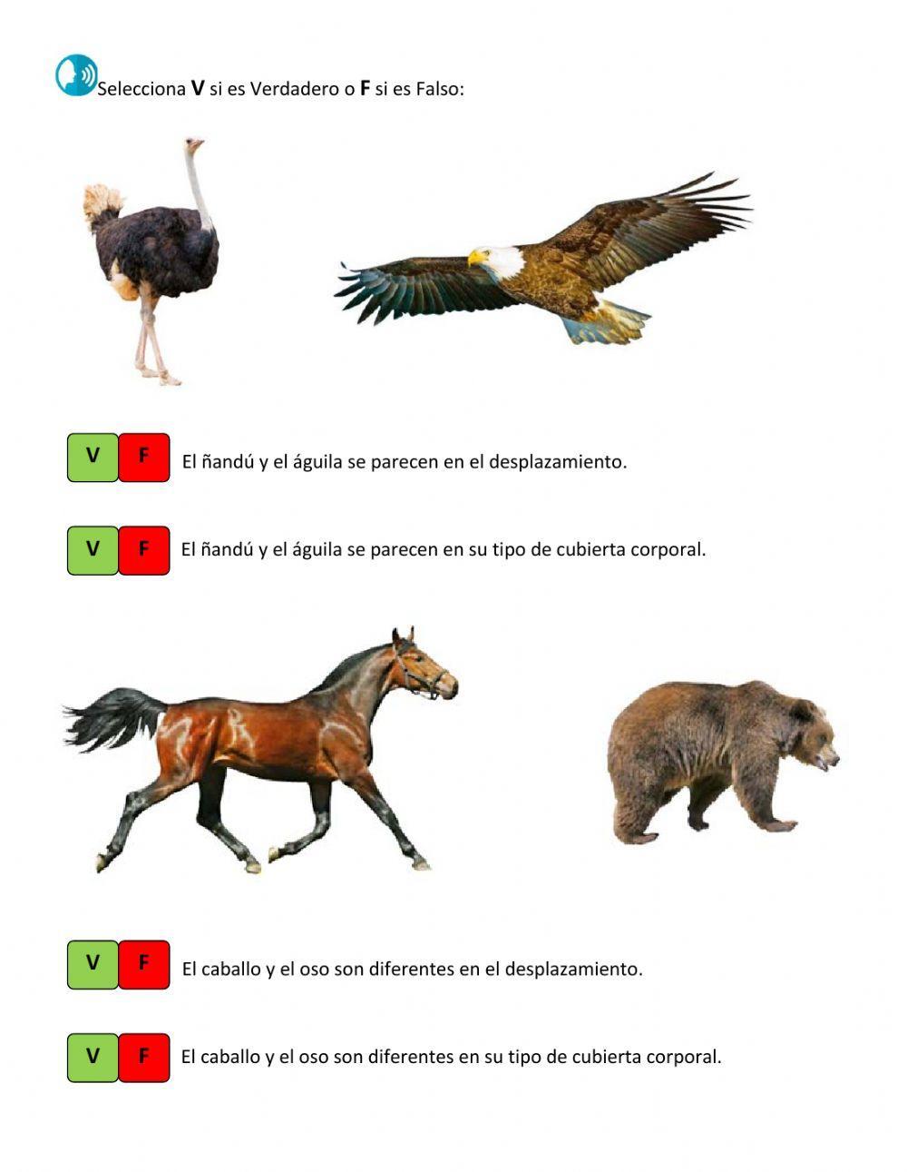 Evaluación Unidad 3 Lección 1