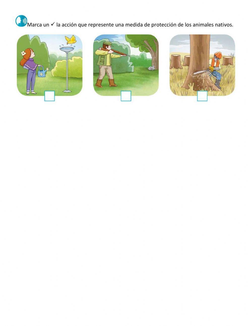 Evaluación Unidad 3 Lección 1