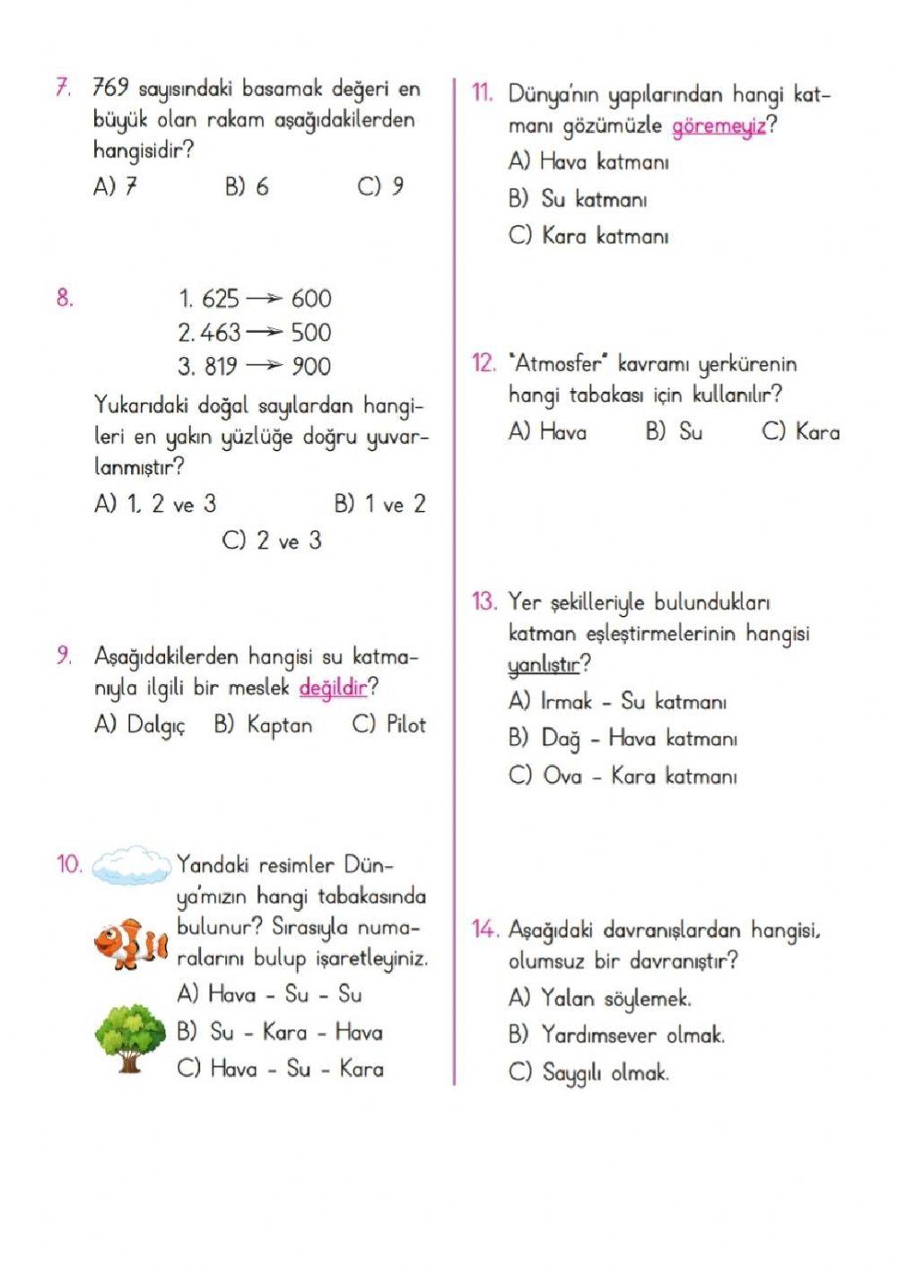 3. sınıf türkçe matematik fen hayat bilgisi test