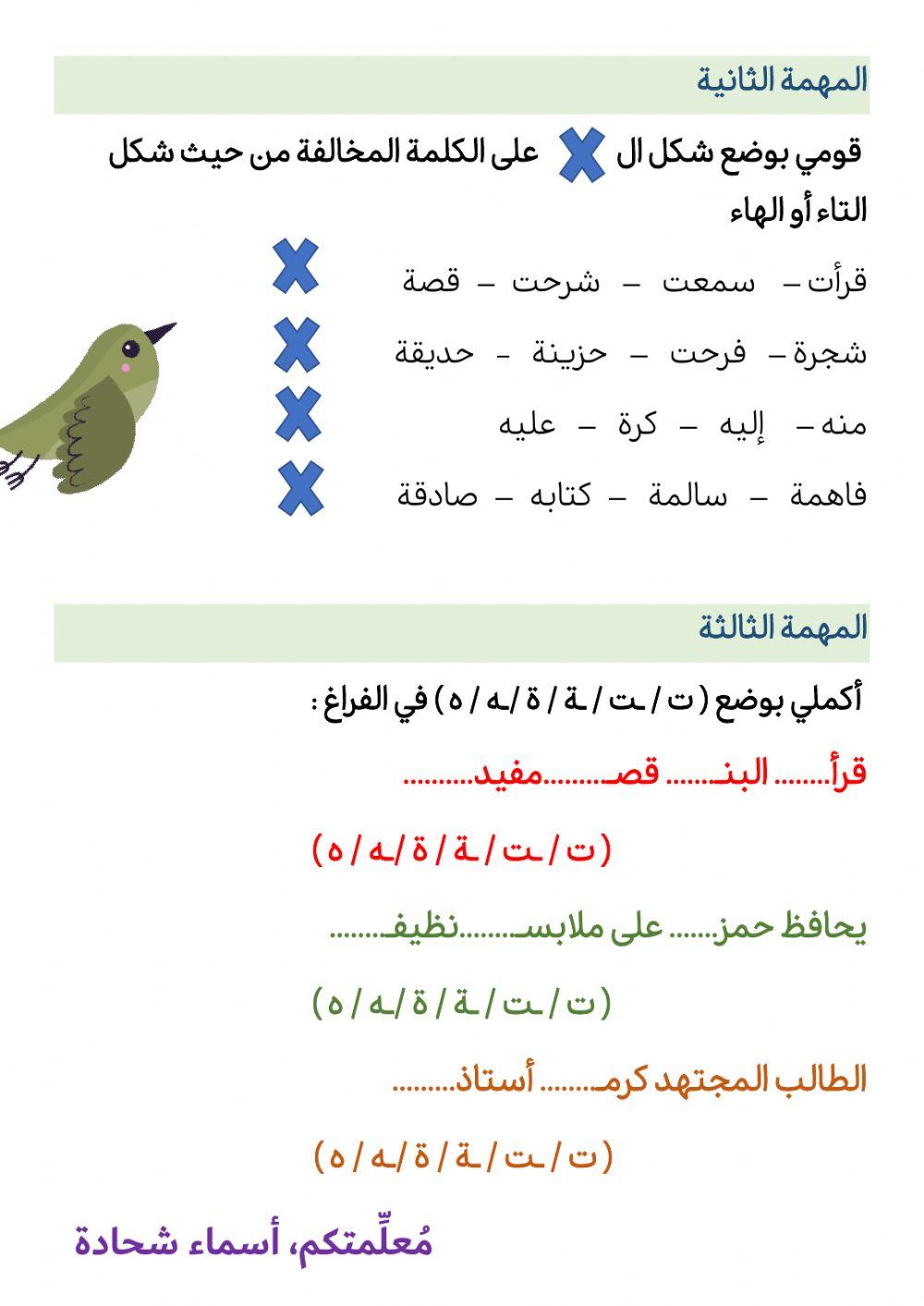 التاء المربوطة والهاء