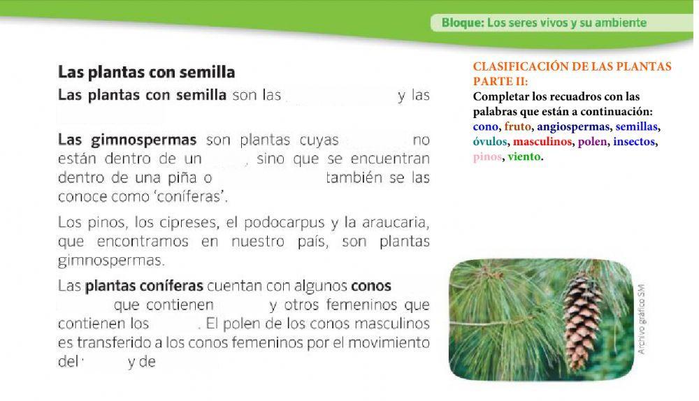 Clasificación de las plantas parte 2