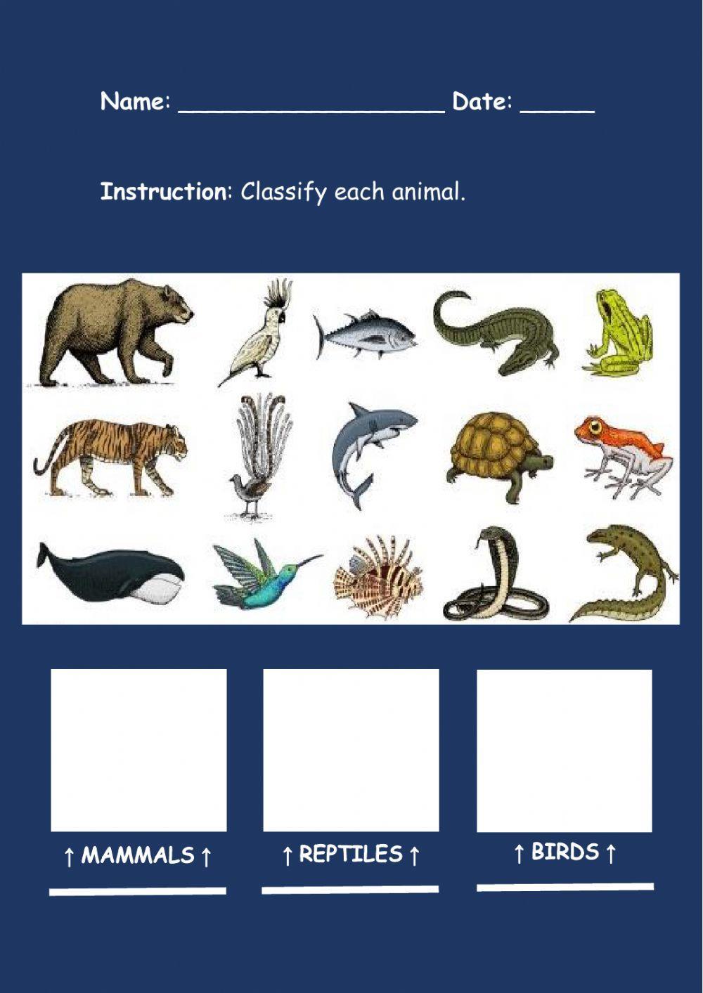 Mammals, reptiles, and birds