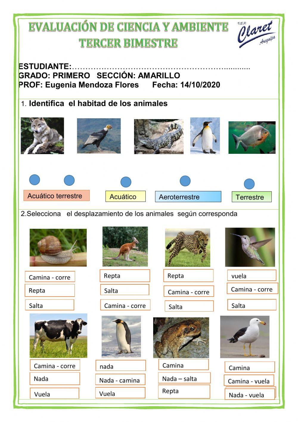 Evaluación de Ciencia y Ambiente