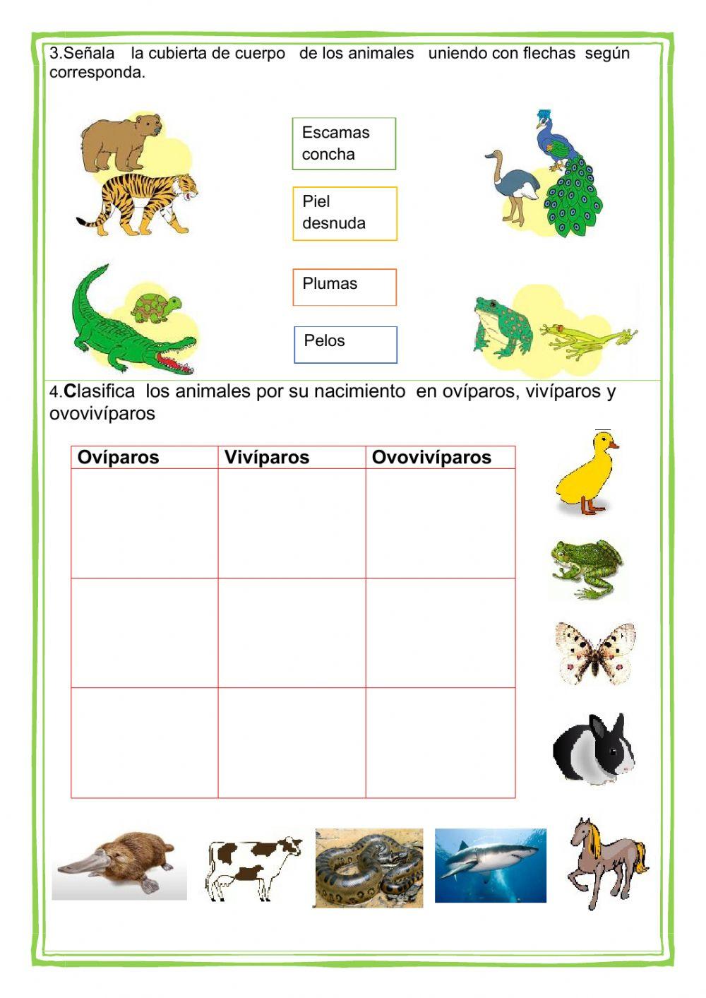 Evaluación de Ciencia y Ambiente