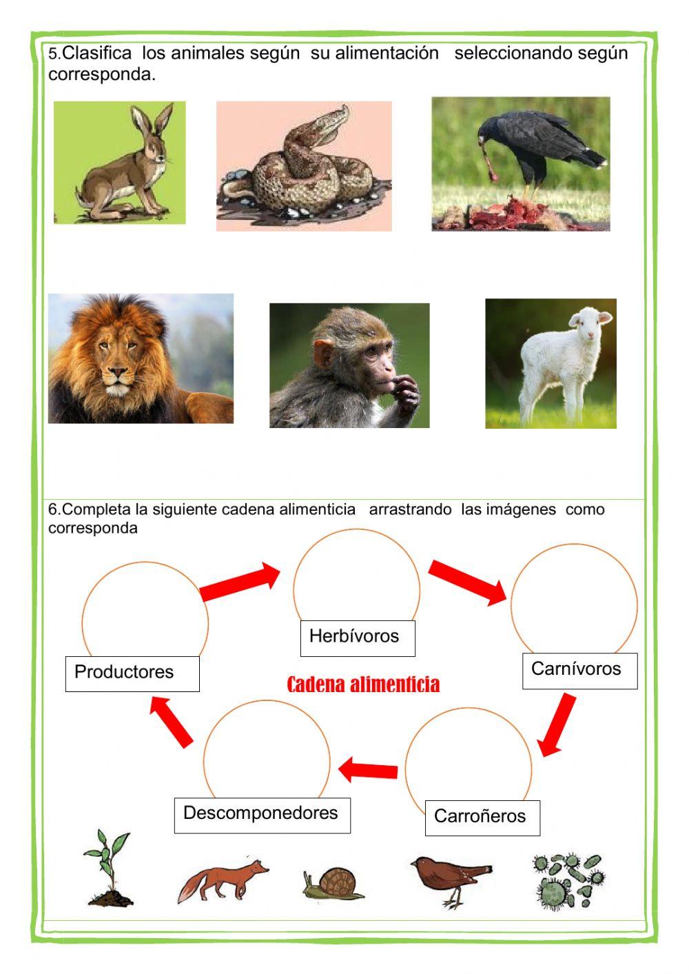 Evaluación de Ciencia y Ambiente