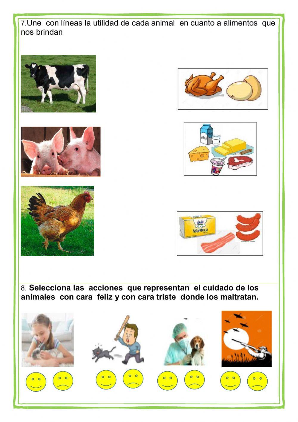 Evaluación de Ciencia y Ambiente