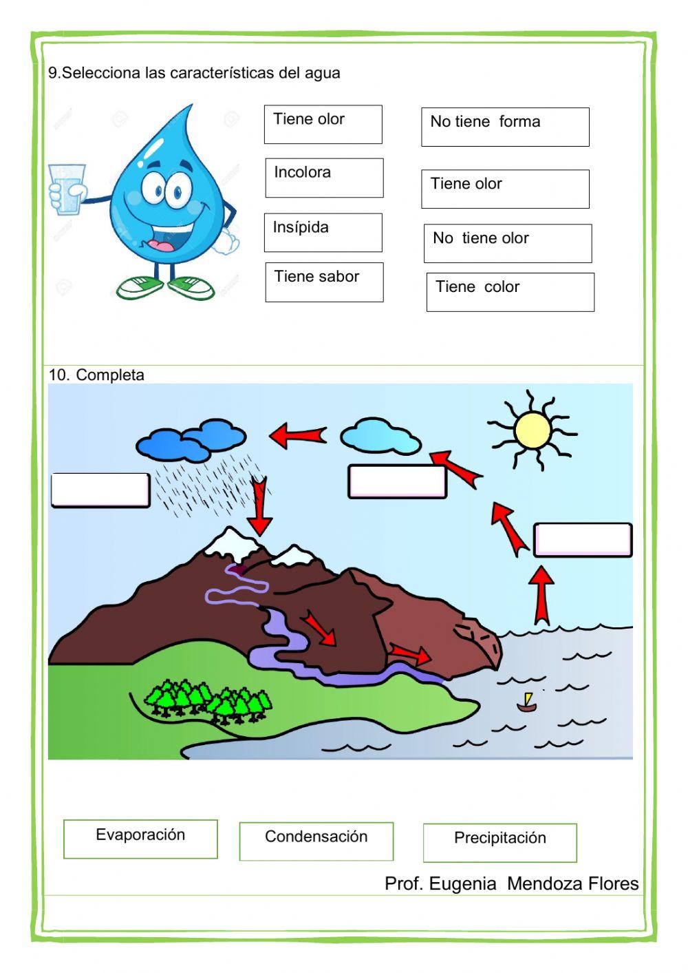Evaluación de Ciencia y Ambiente