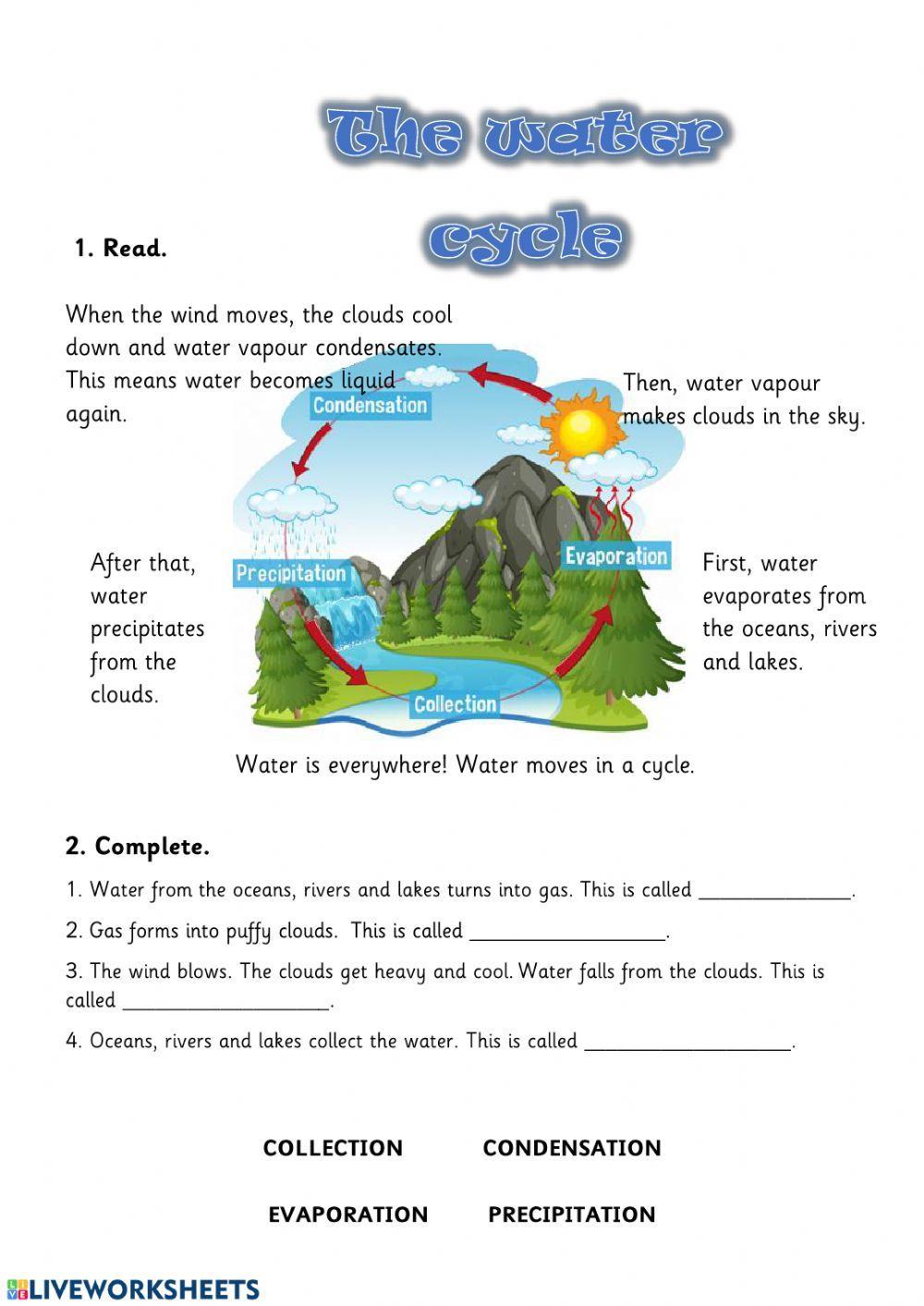 Water Cycle