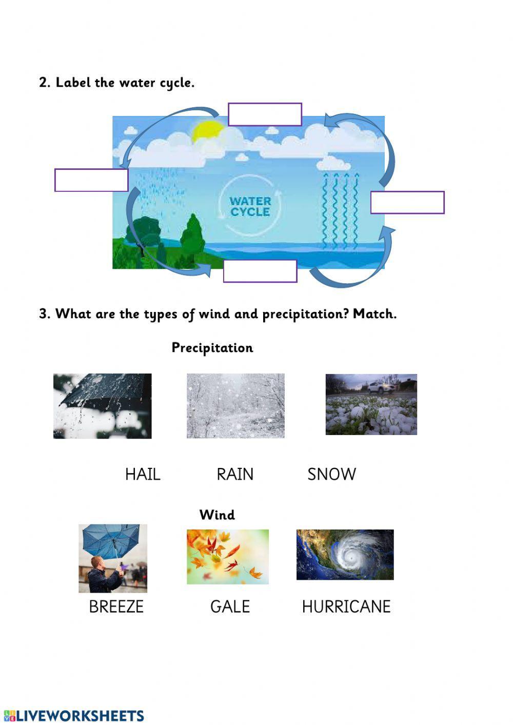 419886 | Water Cycle | Chiatne Pendleton