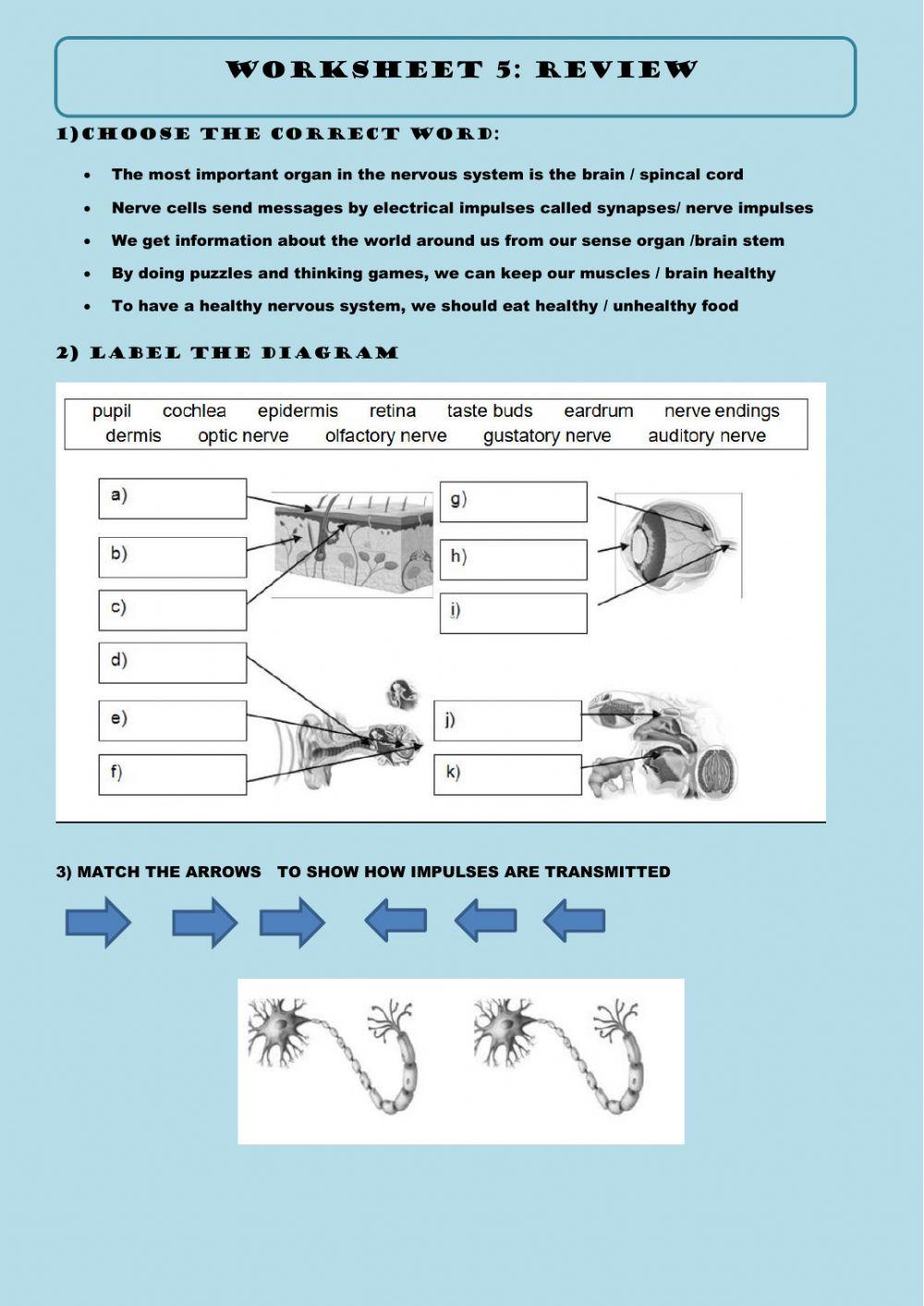 Worksheet 5: REVIEW INTERACTION