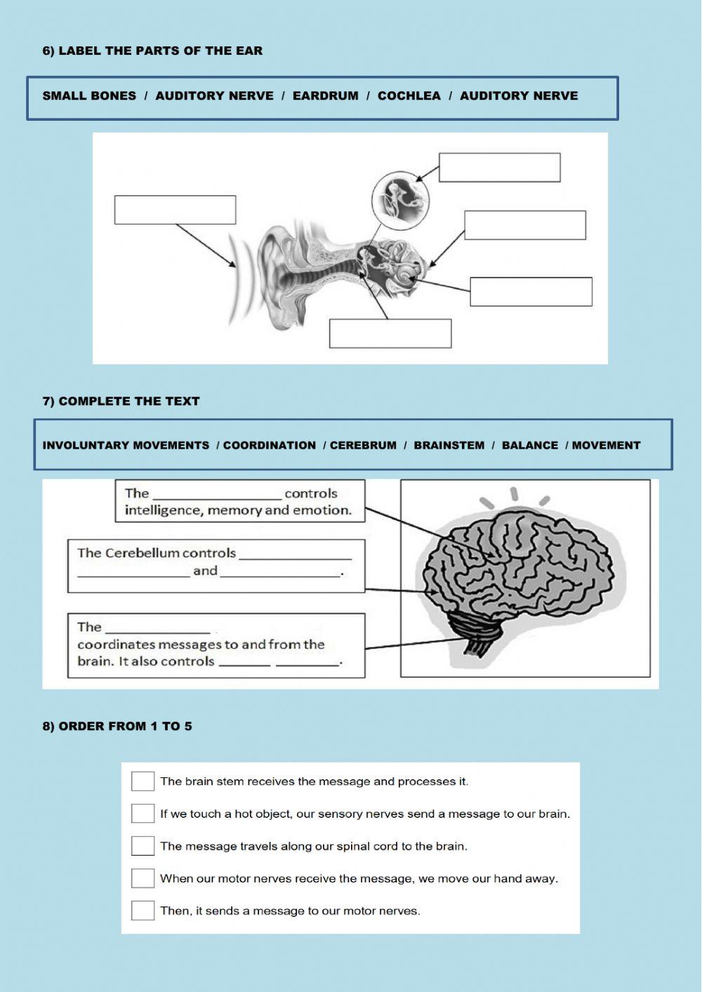 Worksheet 5: REVIEW INTERACTION