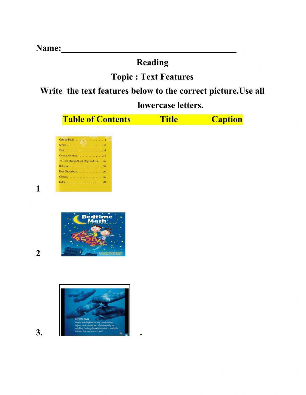 Text Features 420332 | C. Mills | Live Worksheets