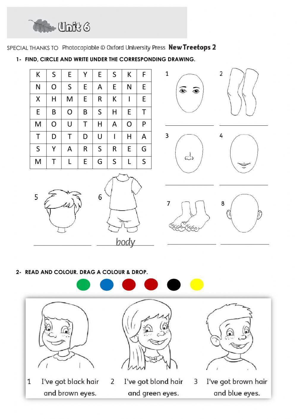 Unit 6 - new treetops 2