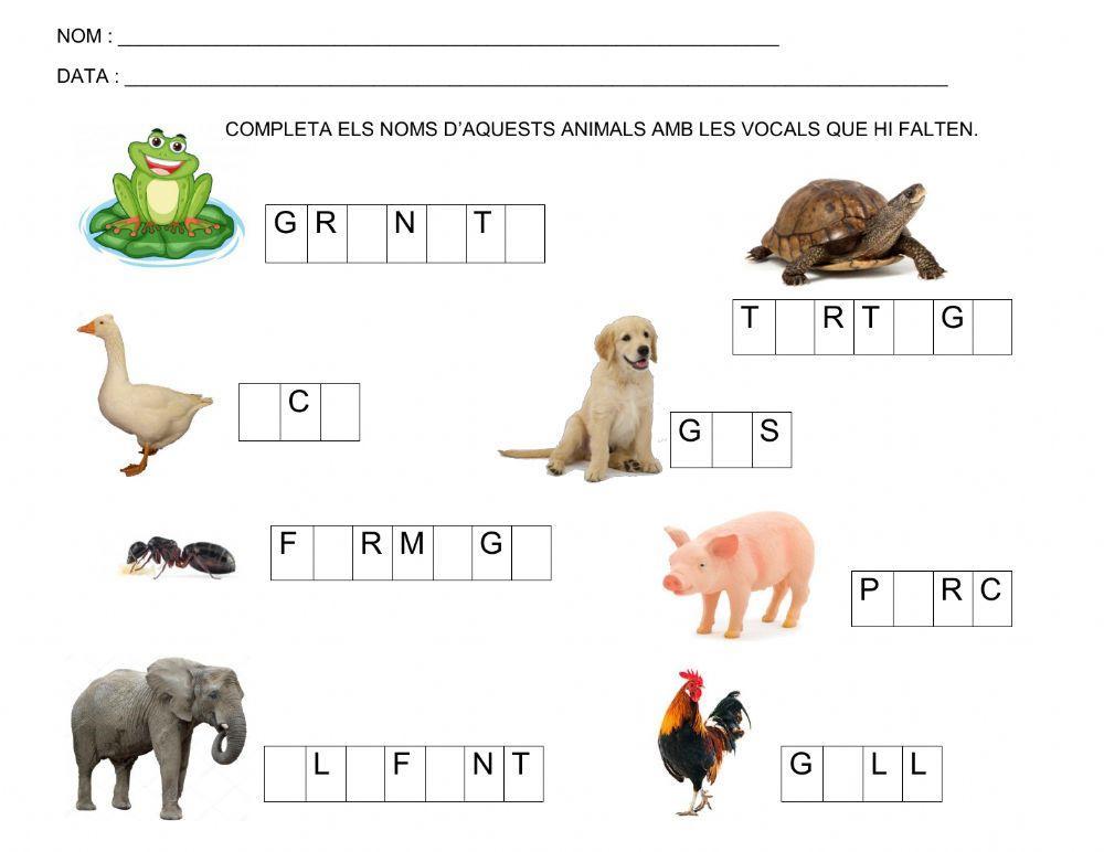 Fitxes cicle inicial