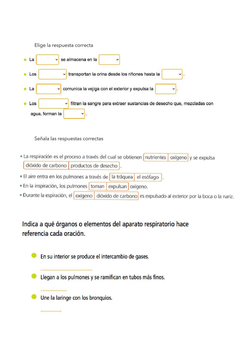Sistemas de la nutrición
