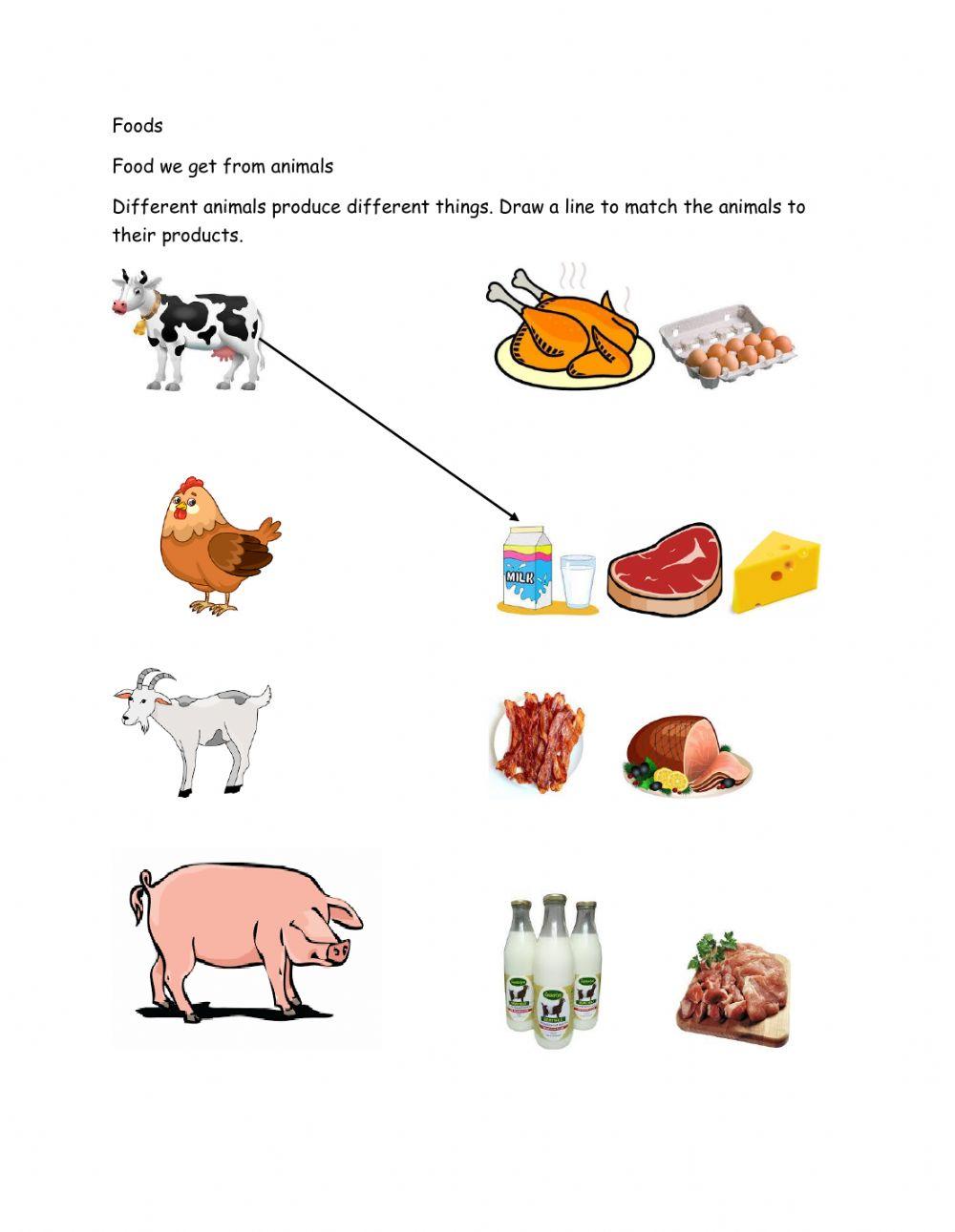 Foods we get from animals