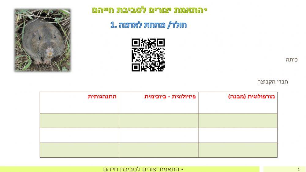 התאמת יצורים לסביבת חייהם