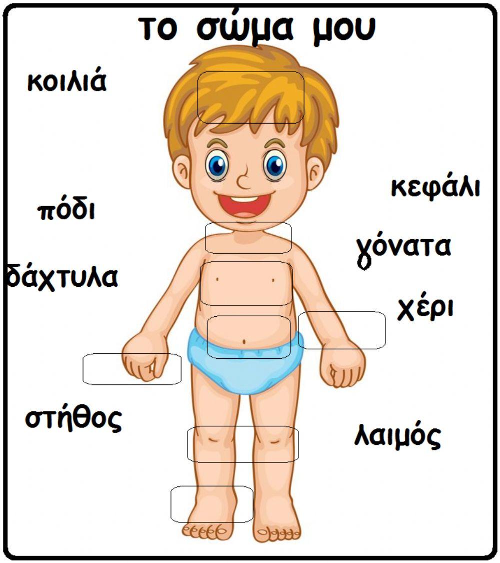 Τα μέρη του σώματος