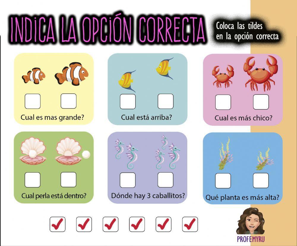 Cual es la opción correcta