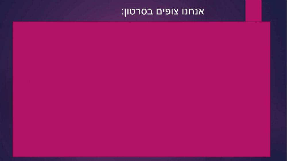 חודשי השנה